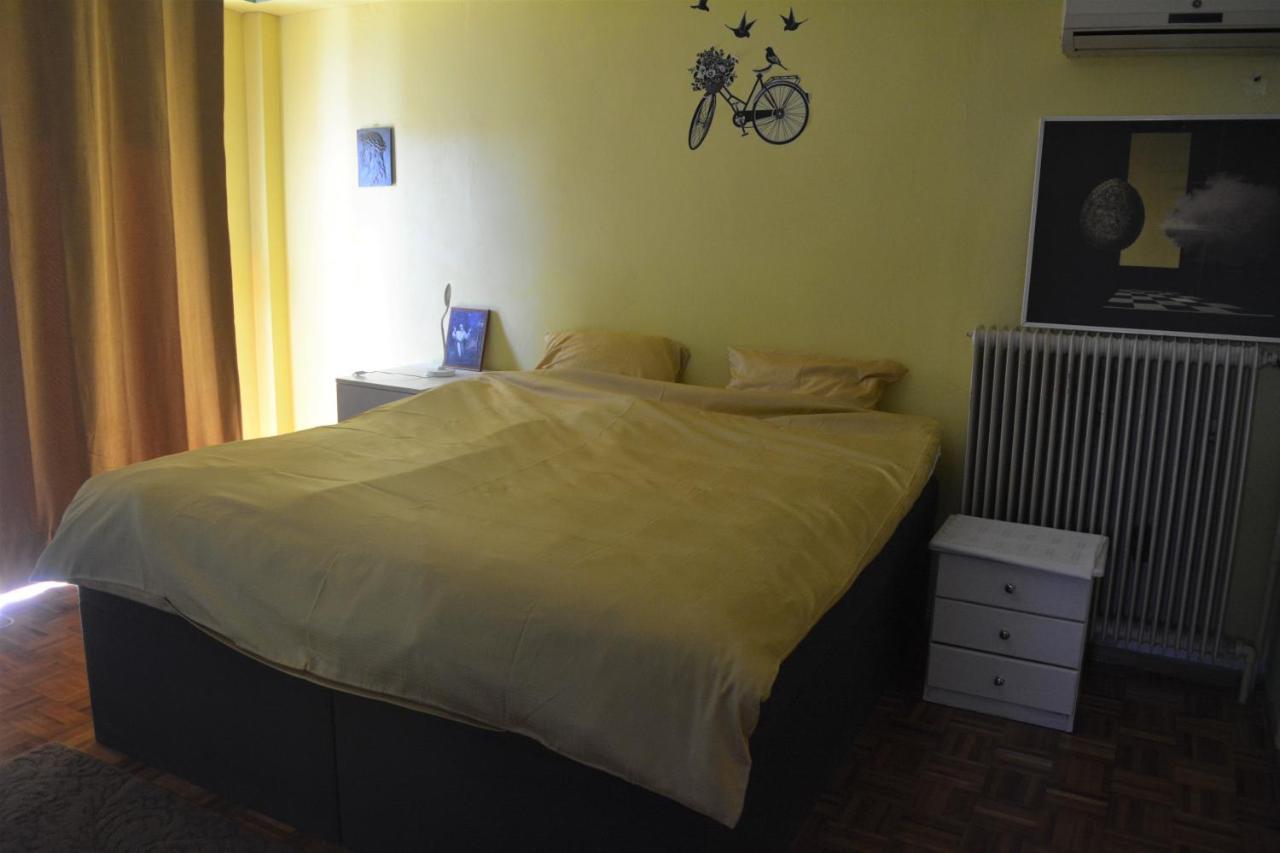 Spacious Apartment With Balconies, Ac, King Bed, Near Dt And Transports Athens Luaran gambar